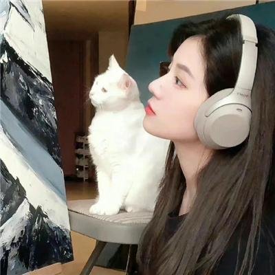 滴血玫瑰